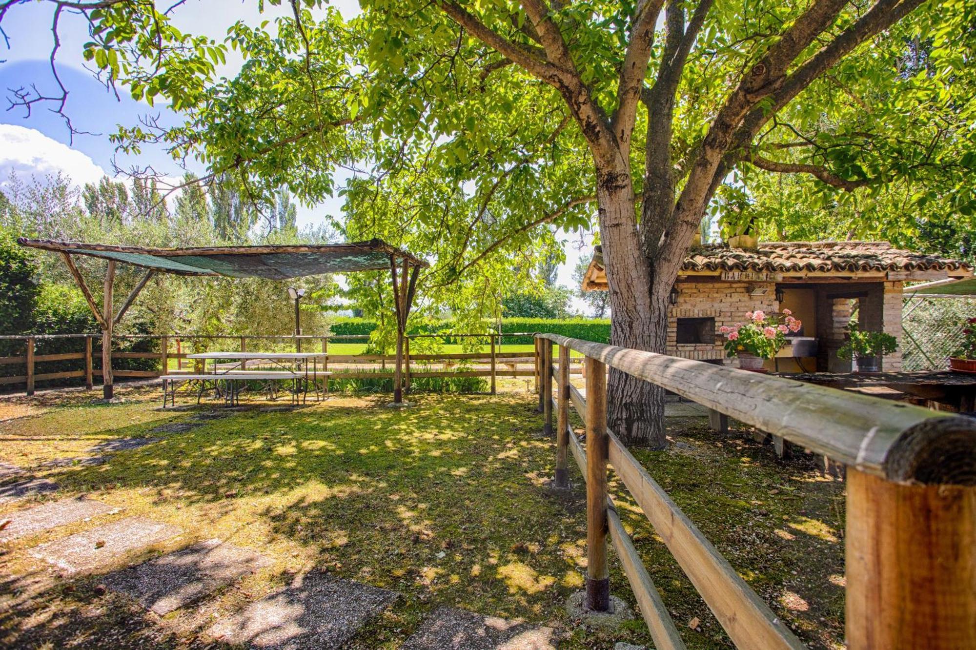 Agriturismo La Mora Assisi Esterno foto